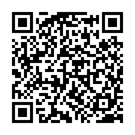 QR code for RYY295
