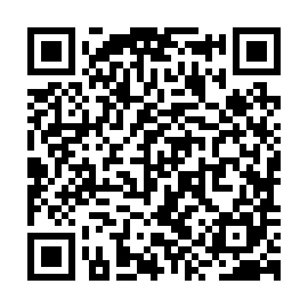 QR code for RYZ285
