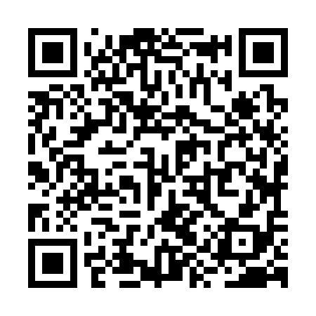 QR code for RYZ318
