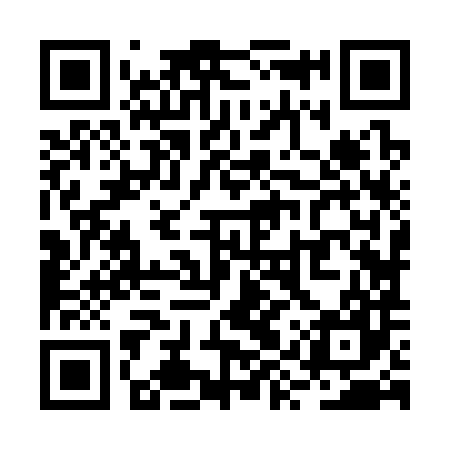 QR code for RYZ387
