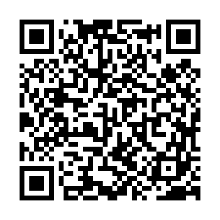QR code for RYZ463