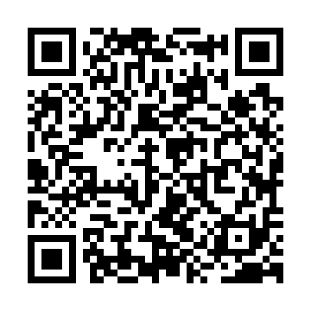 QR code for RYZ711