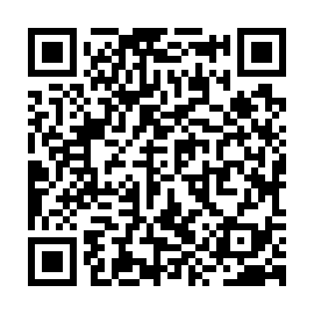QR code for RYZ739