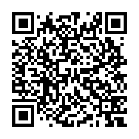 QR code for RZC379