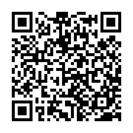 QR code for RZD487