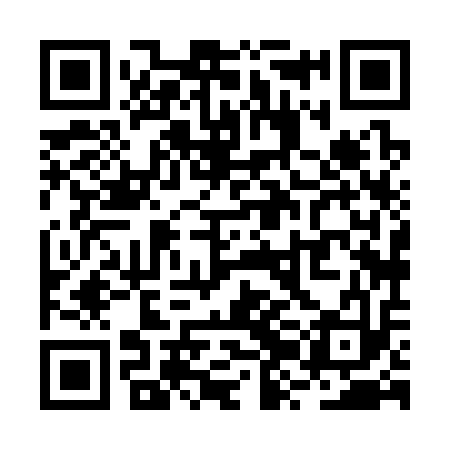 QR code for RZH313