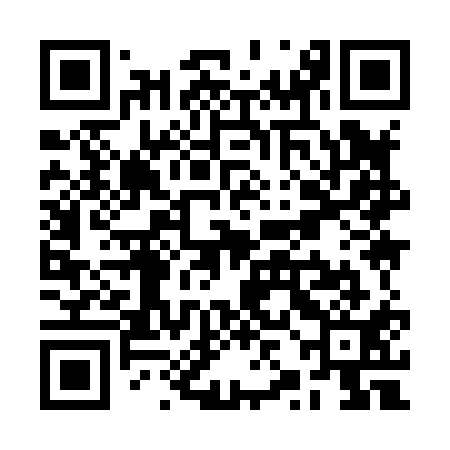 QR code for RZI811