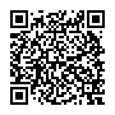 QR code for RZJ299