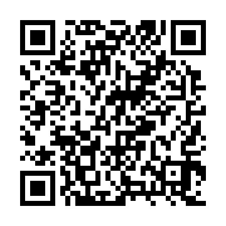 QR code for RZJ313