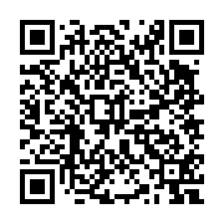 QR code for RZJ411