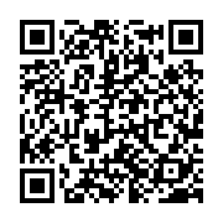 QR code for RZL228