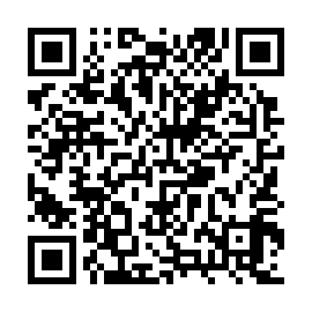 QR code for RZL319