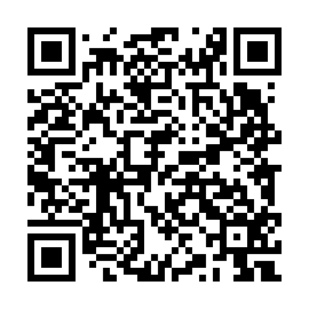 QR code for RZL616