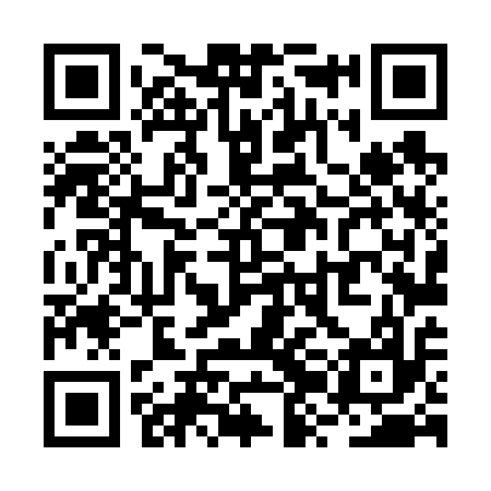 QR code for RZL617