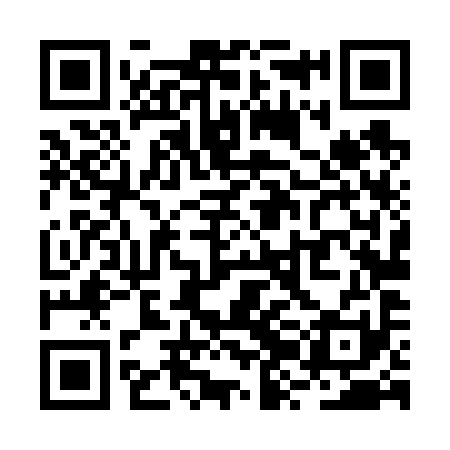 QR code for RZL691