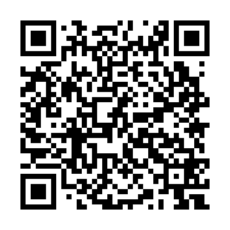 QR code for RZM368
