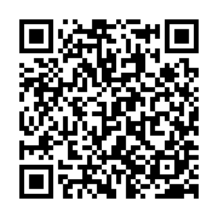 QR code for RZM380