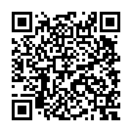 QR code for RZN411