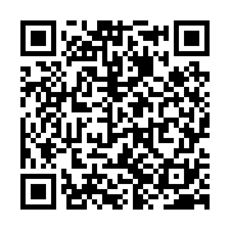 QR code for RZO271