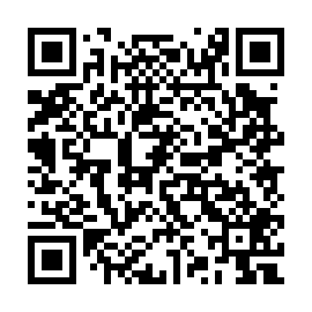 QR code for RZP009