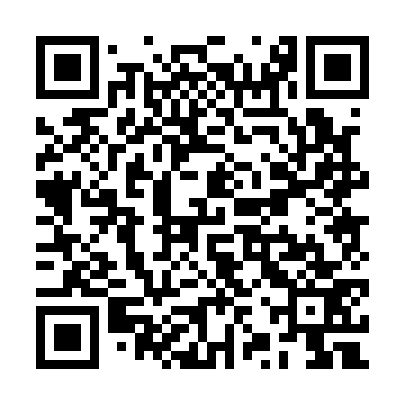 QR code for RZP173