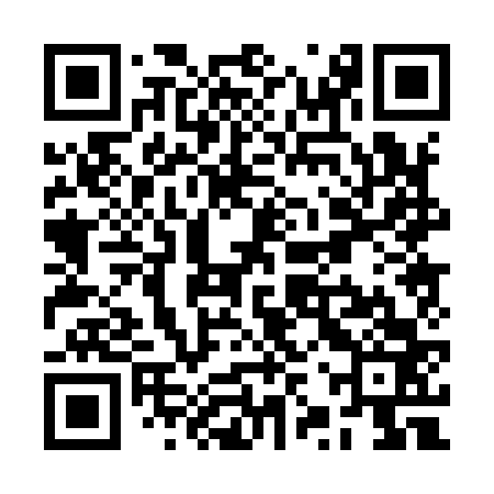 QR code for RZP963