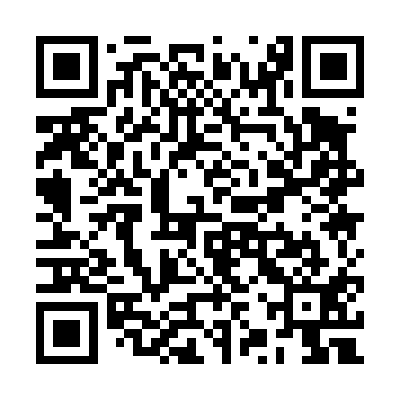 QR code for RZQ411
