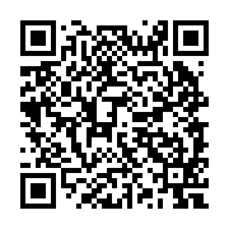 QR code for RZT295