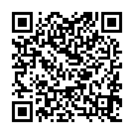 QR code for RZT991