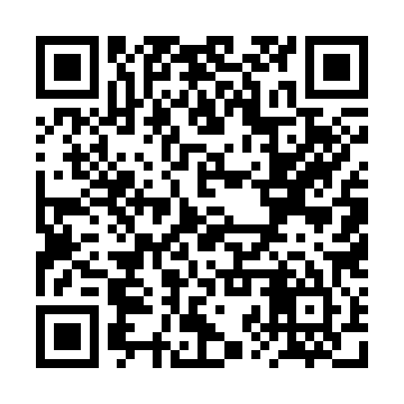 QR code for RZU385