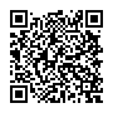 QR code for RZY041