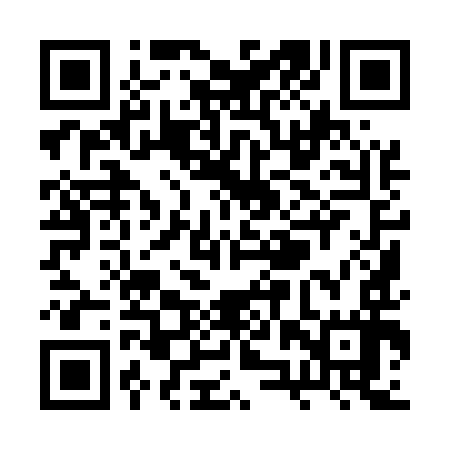 QR code for RZY597
