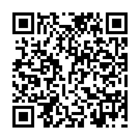 QR code for RZZ313