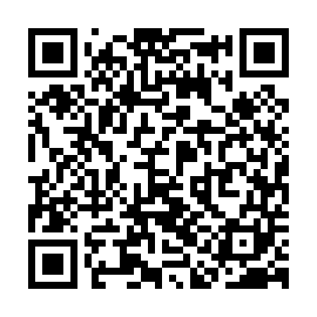 QR code for SAE041