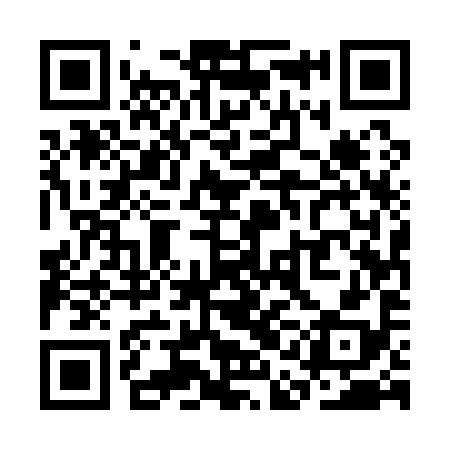 QR code for SAE198