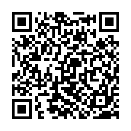 QR code for SAE217