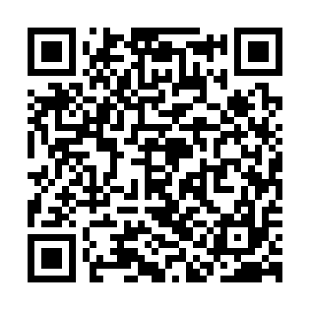 QR code for SAE317