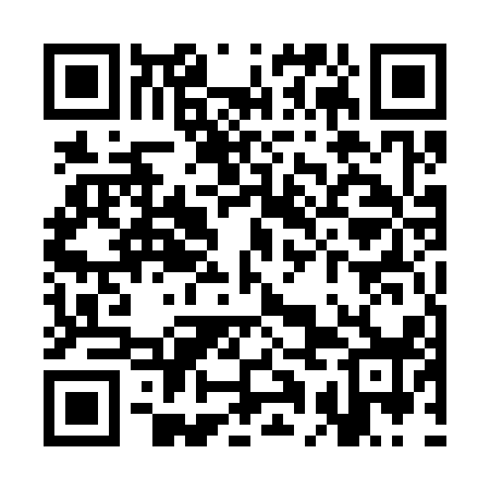 QR code for SAE318