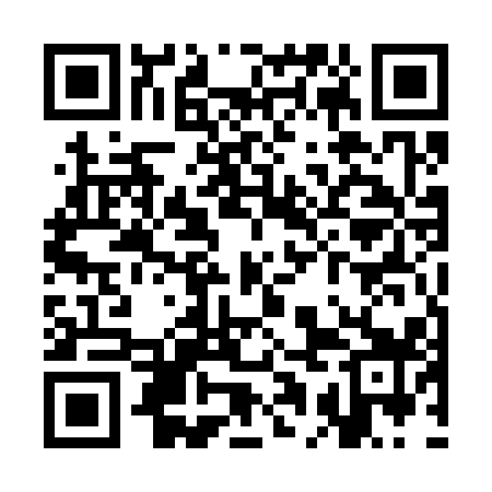QR code for SAE319