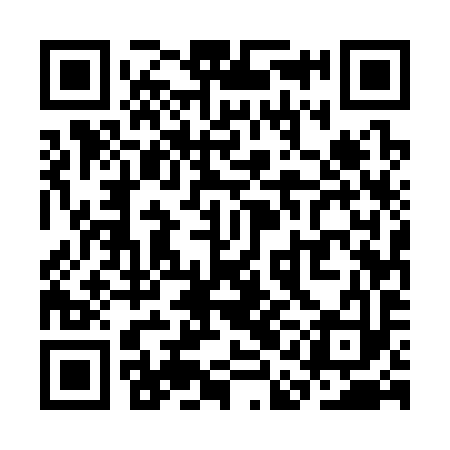 QR code for SAE393