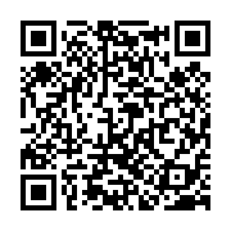 QR code for SAE419