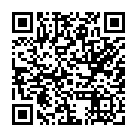 QR code for SAE979