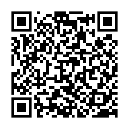 QR code for SAG528