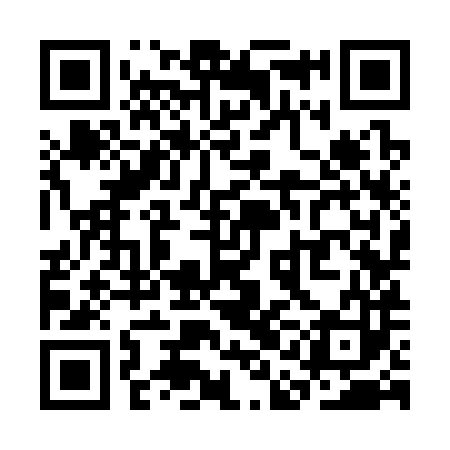QR code for SAK383