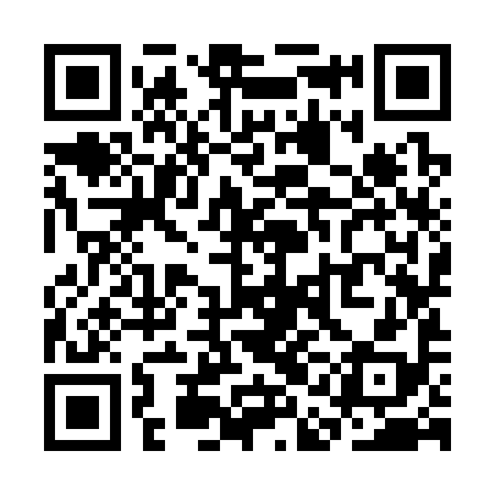 QR code for SAK398
