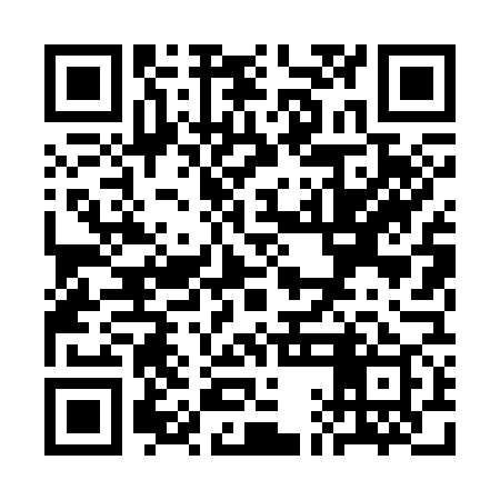 QR code for SAL379