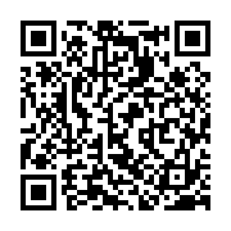 QR code for SAM133