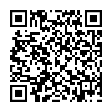 QR code for SAM381