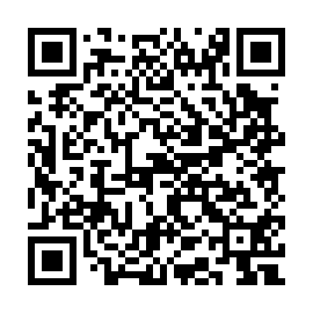QR code for SAP010