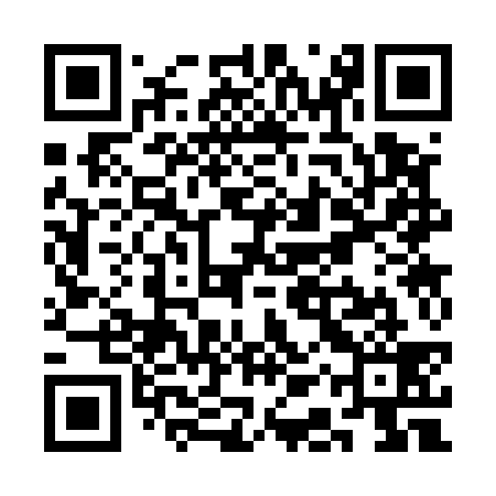 QR code for SAS539
